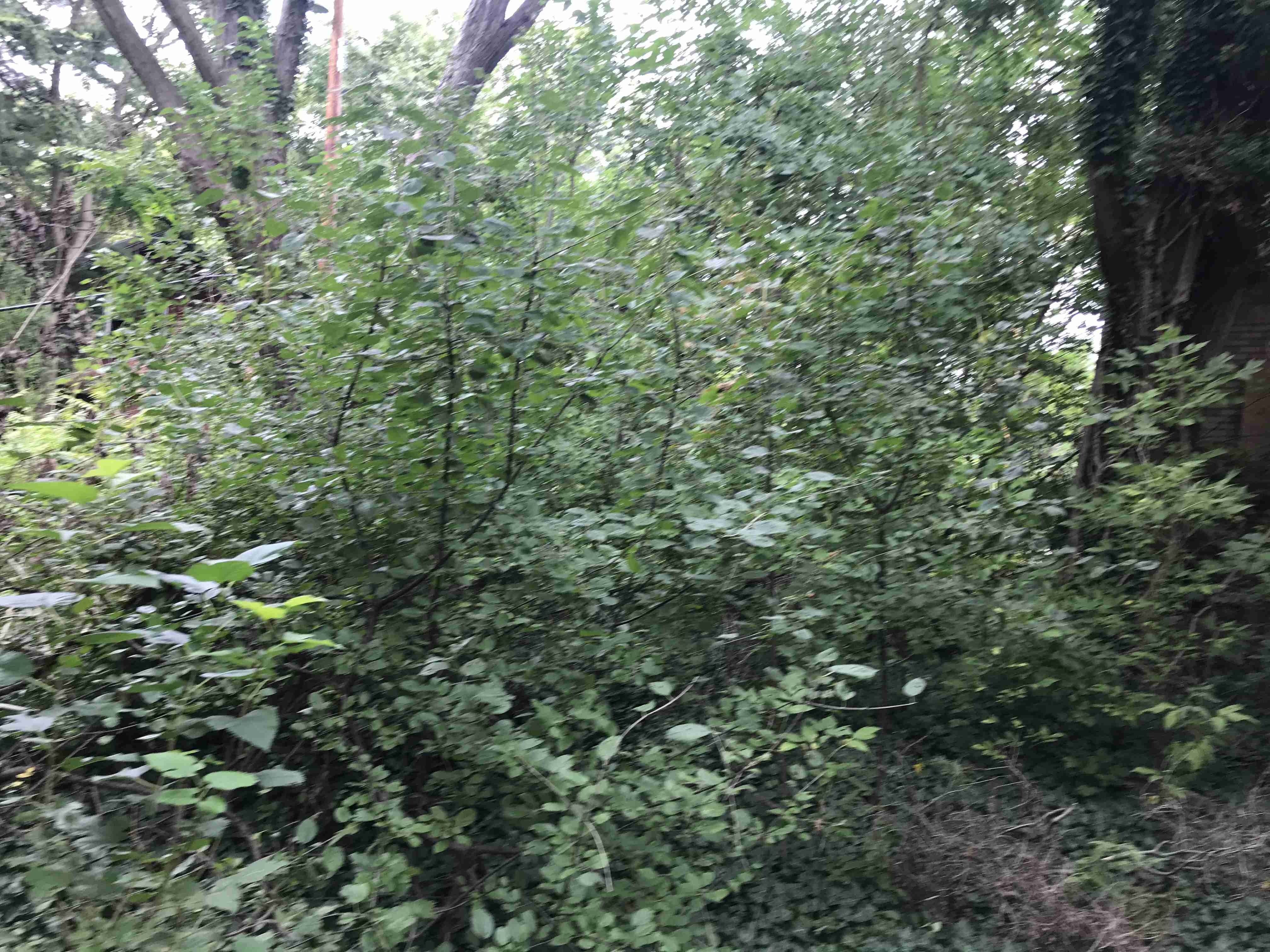 Photo Sep 10, 2 44 53 PM.jpg